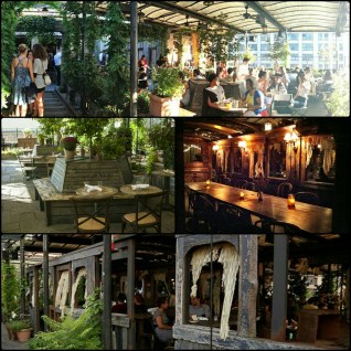 collage_20150315222940839.jpg image